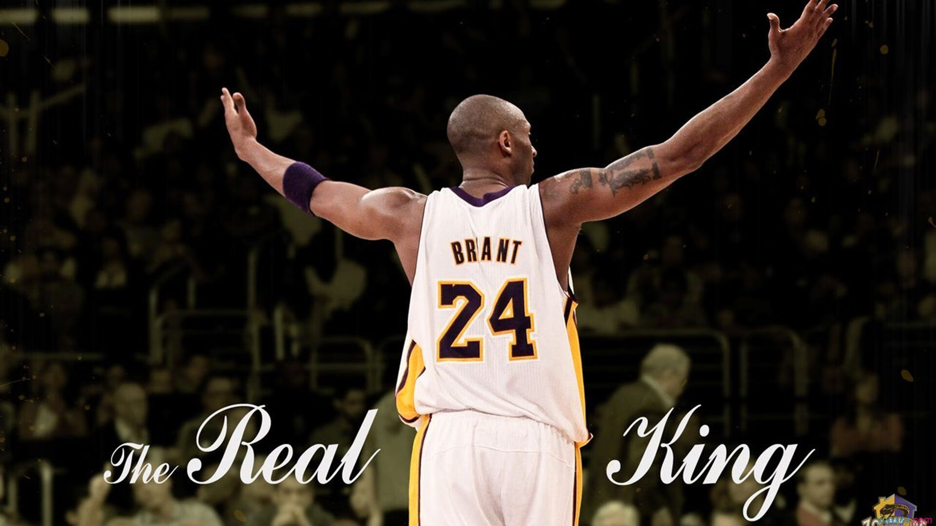 “极地奇景”——从雪山到海底的全球赛场亮点，极地海底世界冰雪乐园